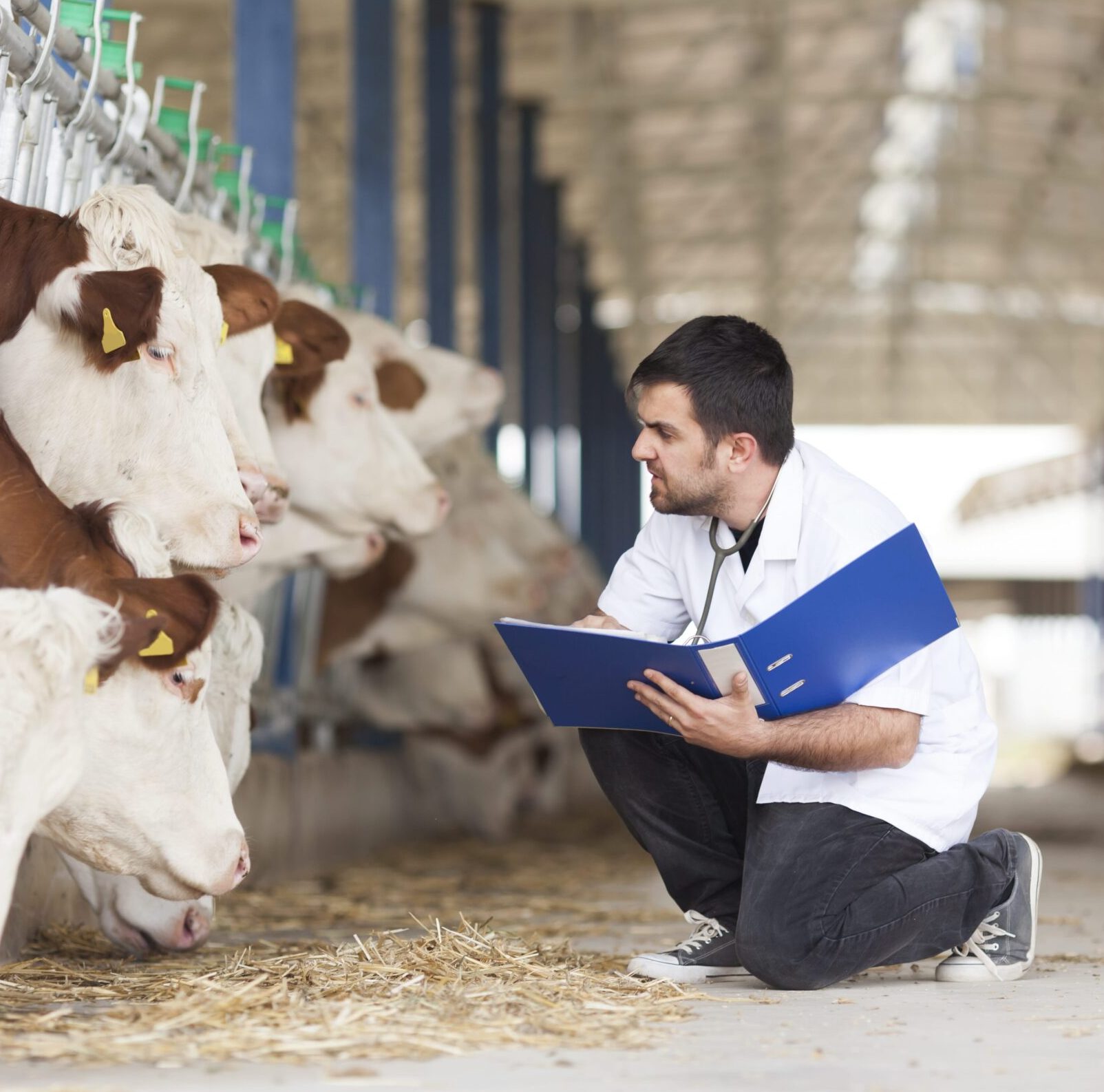 Curso de Bienestar Animal 2 1 Curso BIENESTAR ANIMAL en uruguay Instituto grupo saber e1699615908303