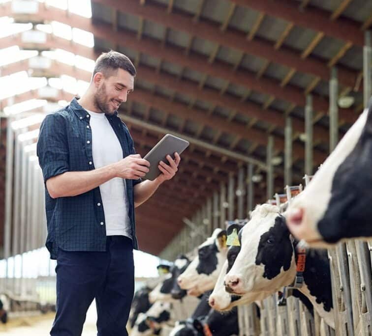 Curso de Gestión Agrogánadera 1 1 Curso Gestion Agroganadera en uruguay Instituto grupo saber e1699788087900