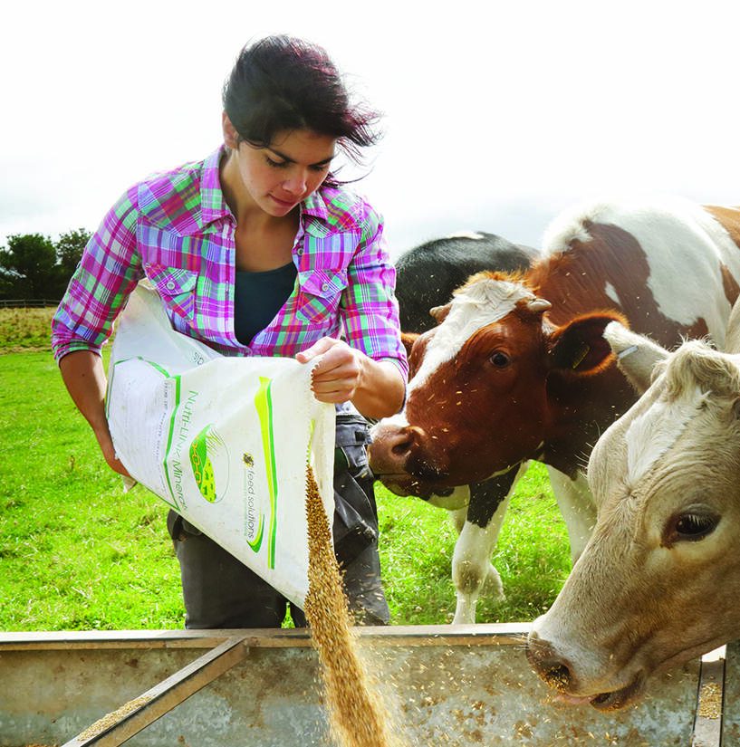 Curso de Producción en Feedlot 2 3. Curso BIENESTAR ANIMAL en uruguay Instituto grupo saber e1699629993987