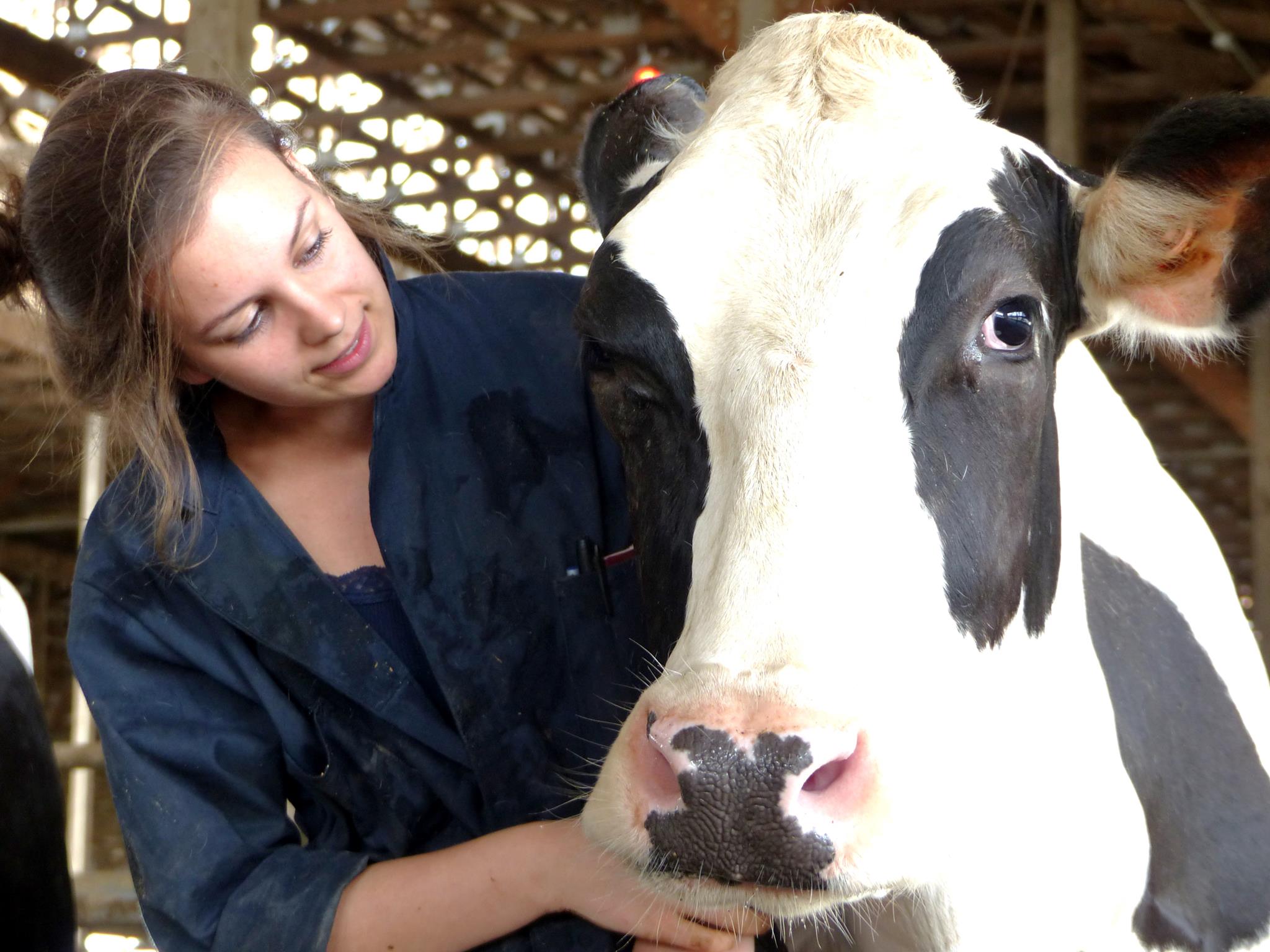 Curso de Bienestar Animal 1 5. Curso BIENESTAR ANIMAL en uruguay Instituto grupo saber