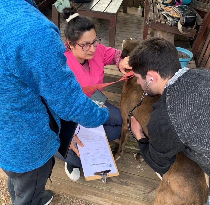 Curso de Ayudante Veterinario 2 WhatsApp Image 2023 10 08 at 14.38.02 e1699534729946