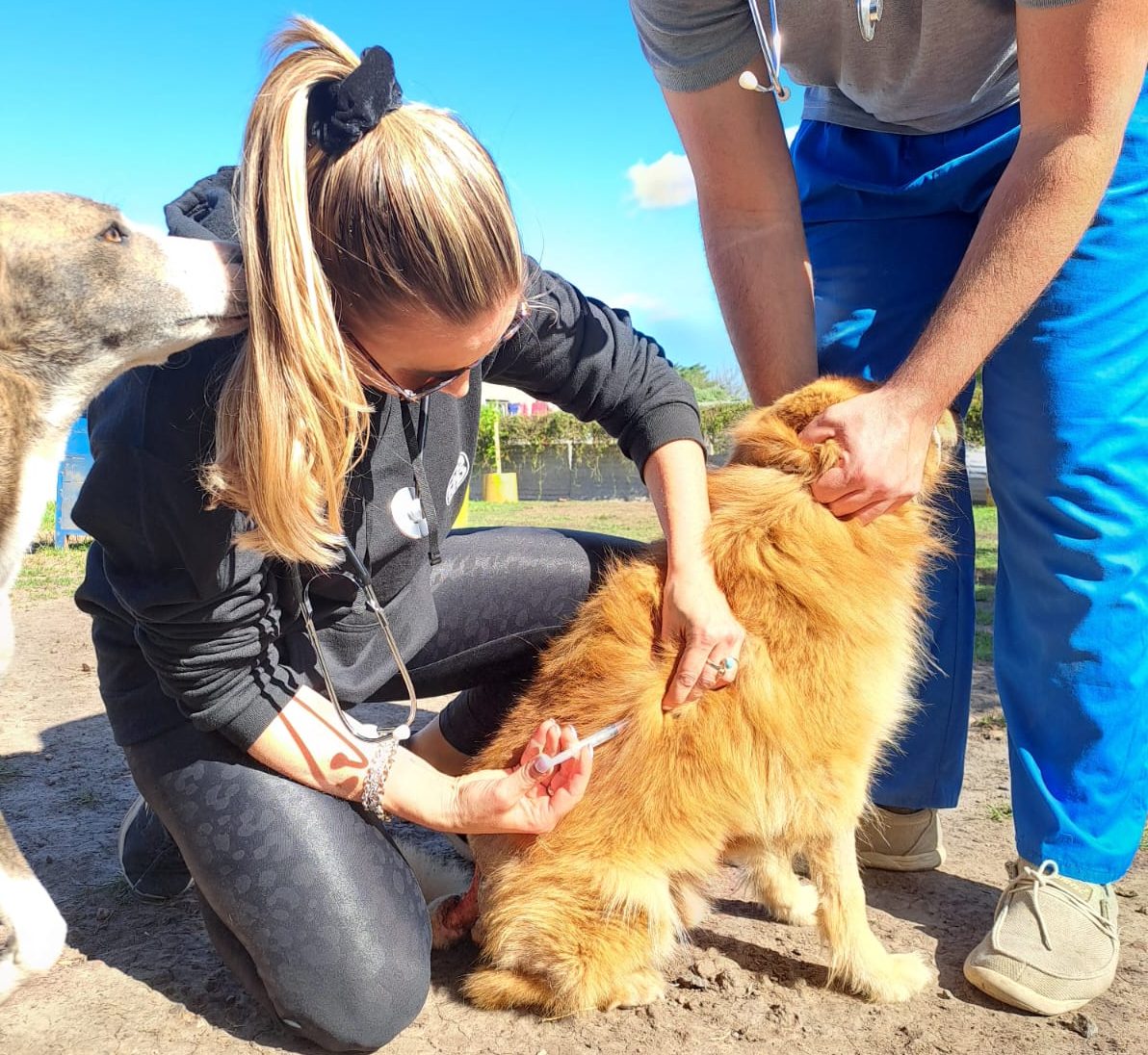 WhatsApp Image 2023 10 08 at 14.38.21 e1700351572864